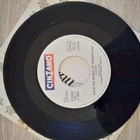 45 giri di " Oh Happy Day"