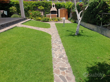 Villa singola estiva