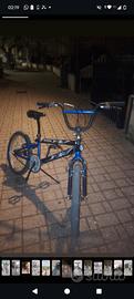 BMXXX