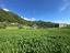 Immagine 30
