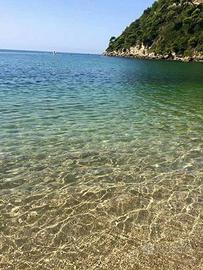 SOLUZIONE 16/30 agosto appartamento due posti