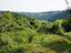 Immagine 12
