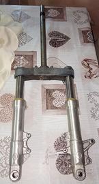 Forcella Phantom f12