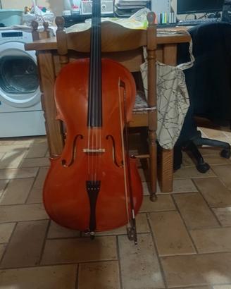 violoncello 3/4