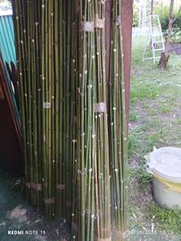 30 bambù orto alt. 180 diametro piccolo