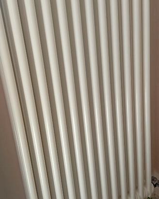Radiatore irsap 12 elementi