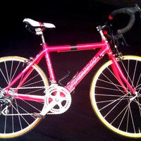 BICICLETTA VICINI GIOVANISSIMI cat g1 g2 g3 24