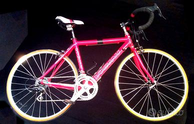 BICICLETTA VICINI GIOVANISSIMI cat g1 g2 g3 24