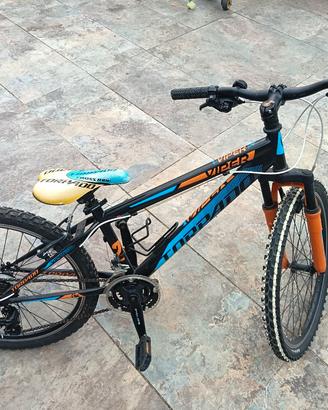Viper 24” MTB Ragazzo – Shimano 21 Velocità 