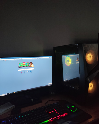 Computer Gaming/Lavoro (Come Nuovo)