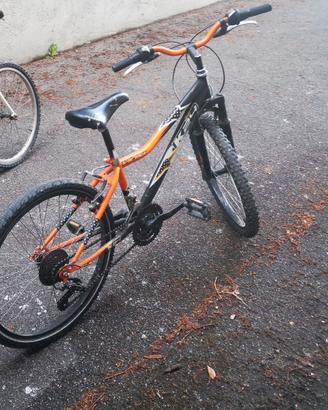 bicicletta 