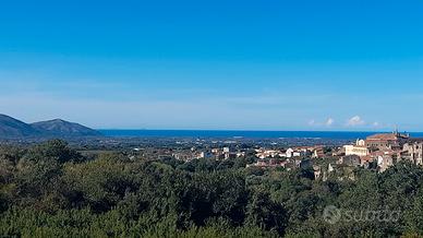 Terreno agricolo con rustico