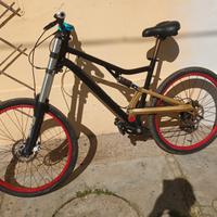 bici assemblata da discesa