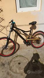 bici assemblata da discesa