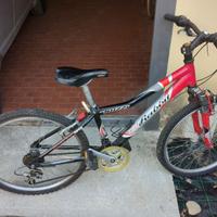 bicicletta mountan bike ragazzo