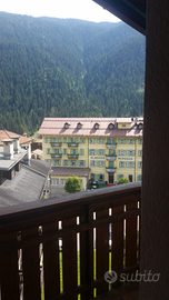 Grazioso bilocale stile locale zona centrale