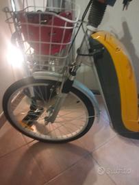 Bici pedalata assistita
