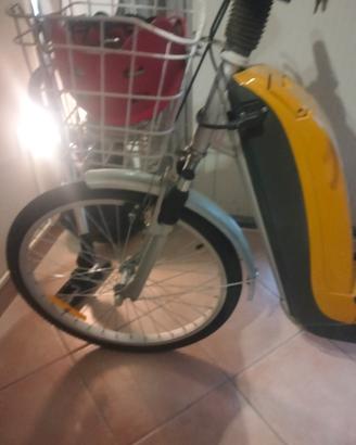 Bici pedalata assistita