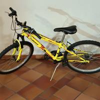 bicicletta 2019 maver race h5-1 colore giallo