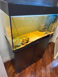 acquario juwel rio 180
