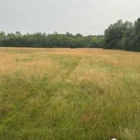 Fieno di prato stabile