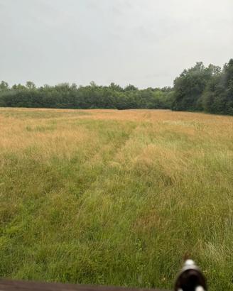 Fieno di prato stabile