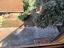 Immagine 29