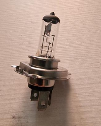 lampadina faro anteriore moto beta rr50 Track 