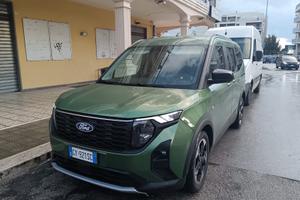 Ford Tourneo