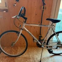 Bici Jumpertrek Project (city/trekking bike)