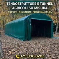 TENDONE  NUOVO TUNNEL AGRICOLO