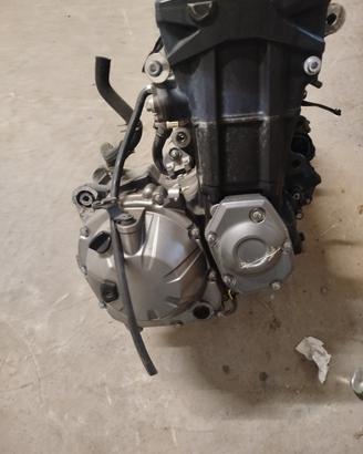 motore e carene Kawasaki Z 900 anno 2019