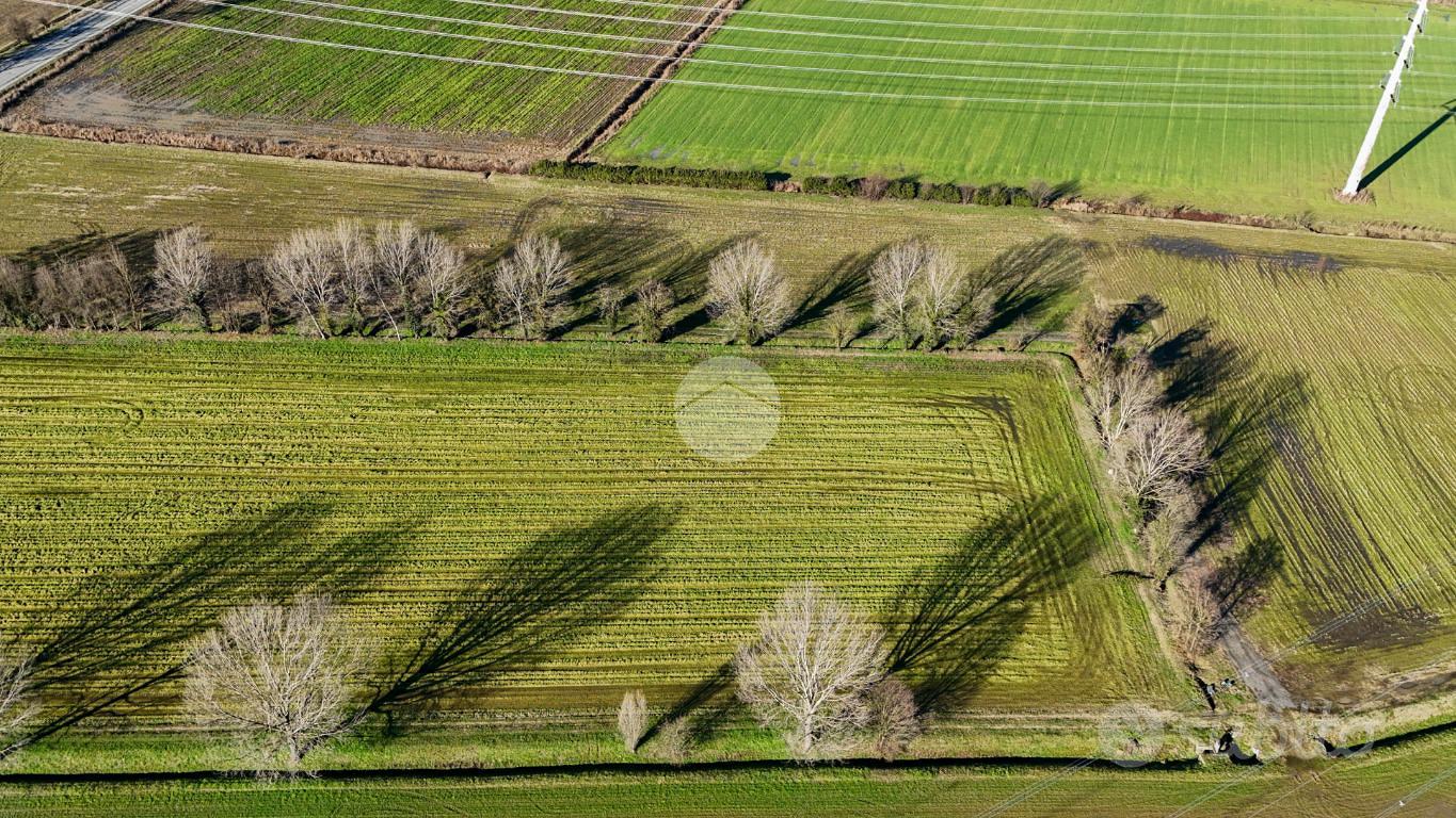 TER. AGRICOLO A SANTO STEFANO LODIGIANO - Altro