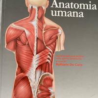 Anatomia umana