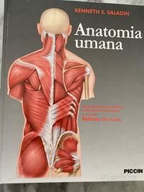 Anatomia umana