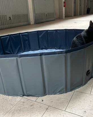 Piscina per cani