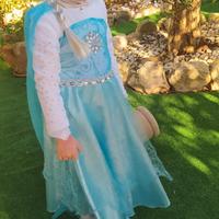Vestito a tema (Frozen)