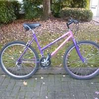MTB 26"