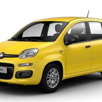 FIAT Panda 1.0 FireFly S&S Hybrid Nuovo Modello