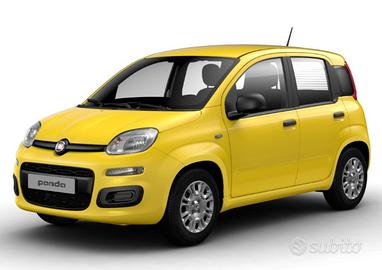 FIAT Panda 1.0 FireFly S&S Hybrid Nuovo Modello