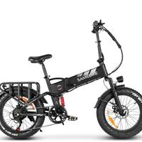 fat-bike 1000w