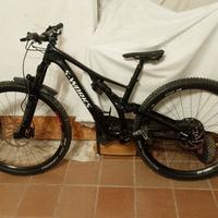 specialized stumpjumper s.worts