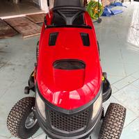 Trattorino tagliaerba