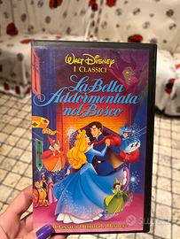 La bella addormentata nel bosco