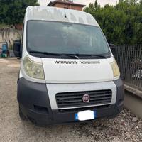 Fiat ducato maxi