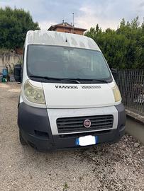 Fiat ducato maxi