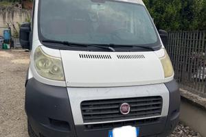Fiat ducato maxi