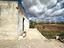 Immagine 24