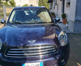 Mini countryman diesel