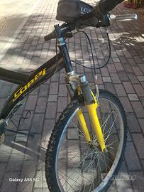 Montanbike 